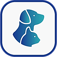 Online Kısırlaştırma Randevu